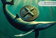 حيتان مجهولة تنقل 95,000,000 XRP إلى بينانس - اكتشف المزيد