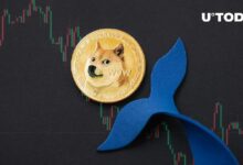 الحيتان تختفي: موجة جديدة تضرب دوجكوين (DOGE) في سبتمبر!