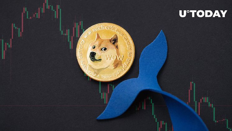 الحيتان تختفي: موجة جديدة تضرب دوجكوين (DOGE) في سبتمبر!