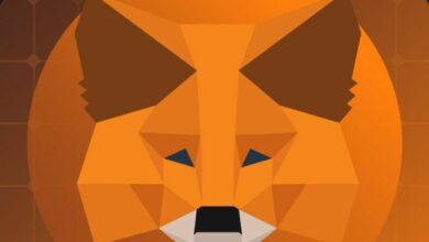 مستخدمي MetaMask يمكنهم الآن التفاعل مع كاردانو