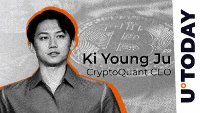 "انتصار البيتكوين على الشكوك: تصريحات CEO CryptoQuant حول حركة سعر BTC"