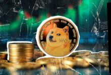 ارتفاع حجم تداول دوجكوين بنسبة 50% مع رفع سعر DOGE يصدم سوق العملات الرقمية - اكتشف التفاصيل