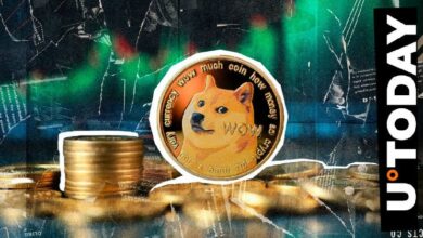 ارتفاع حجم تداول دوجكوين بنسبة 50% مع رفع سعر DOGE يصدم سوق العملات الرقمية - اكتشف التفاصيل