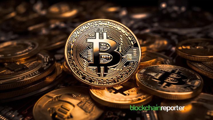 تراكم حيتان البيتكوين لعملة $BTC يزداد وسط تراجع السوق - اكتشف التفاصيل