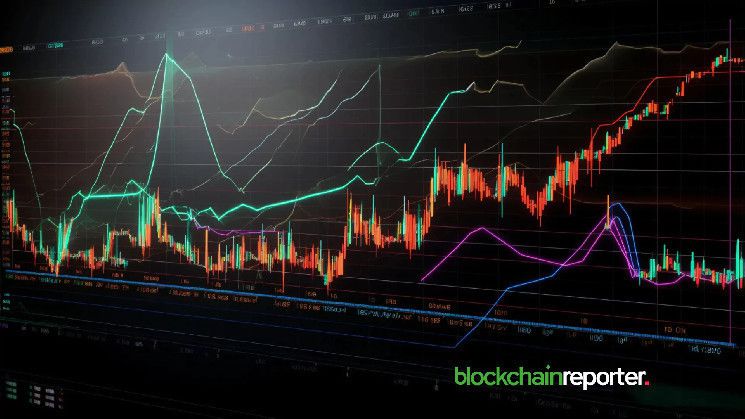 تاجر ذكي يتداول MOODENG ويحقق ملايين من ارتفاعات القيمة السوقية – تعرَّف على سر نجاحه الآن!