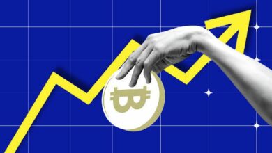 توقعات سعر بيتكوين: إلى أي مدى يمكن أن يرتفع سعر BTC بحلول ديسمبر 2024؟ اكتشف الآن!