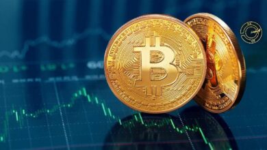 الرئيس التنفيذي لشركة استثمارية عملاقة يكشف توقعاته لمستوى سعر البيتكوين في المستقبل القريب