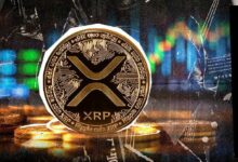 قفزة هائلة بنسبة 342% في مؤشر رئيسي لعملة XRP تذهل مجتمع الكريبتو - اكتشف التفاصيل