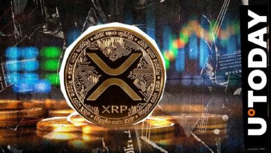 قفزة هائلة بنسبة 342% في مؤشر رئيسي لعملة XRP تذهل مجتمع الكريبتو - اكتشف التفاصيل