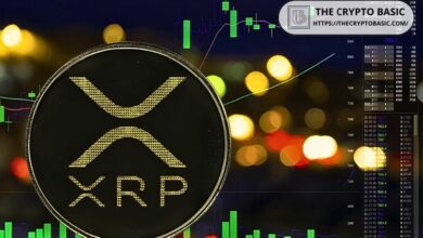 محلل بارز يؤكد بنسبة 100% أن سعر XRP سيصل إلى 100 دولار: اكتشف السبب الآن