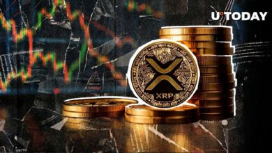 سحب 40 مليون XRP يذهل أكبر منصة تبادل عملات رقمية - اقرأ التفاصيل!