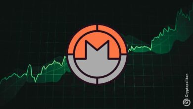 مونيرو (XMR) يسجل ارتفاعاً شهرياً بعد زيادة في عمليات البحث على جوجل - اكتشف التفاصيل!