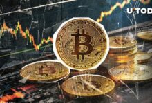 755 مليون دولار في 24 ساعة لبيتكوين (BTC): اكتشف ما يحدث الآن!