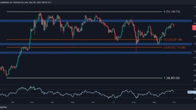 تحليل سعر بيتكوين: تراجع BTC إلى $64K والثيران في طريق العودة