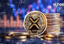 XRP يصل إلى 100 دولار: جنون يجتاح مجتمع العملة المشفرة على تويتر!