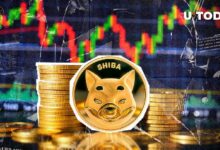 شيبا إينو (SHIB) يرتفع بنسبة 171% في مقياس رئيسي، هل سيتبع السعر؟ اقرأ الآن!