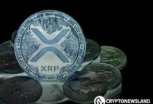 أفضل 5 مالكي XRP يُشكّلون السوق: من يمتلك أكبر قوة؟ تعرف عليهم الآن!