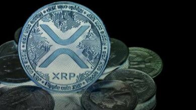 أفضل 5 مالكي XRP يُشكّلون السوق: من يمتلك أكبر قوة؟ تعرف عليهم الآن!