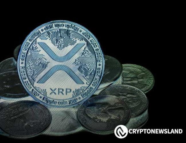 أفضل 5 مالكي XRP يُشكّلون السوق: من يمتلك أكبر قوة؟ تعرف عليهم الآن!