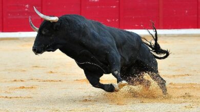 بيتكوين يرتفع لأكثر من 65 ألف دولار حيث يحقق 90٪ من الحائزين أرباحًا - اكتشف التفاصيل!