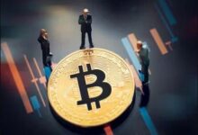 إلى أي مدى يمكن أن ينخفض سعر البيتكوين (BTC)؟ توقعات سبتمبر من كيو س ب كابيتال!