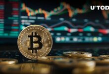 وزيرة الخزانة جانيت يلين تراهن على تعافي الاقتصاد الأمريكي، هل سيتبعها البيتكوين (BTC)؟ اكتشف الآن!