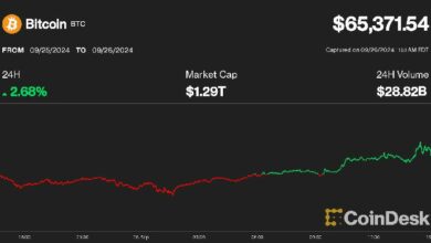 بيتكوين تصل إلى 65 ألف دولار لأول مرة منذ أوائل أغسطس، تجدد اهتمام المستثمرين بصناديق الاستثمار المتداولة العاجلة