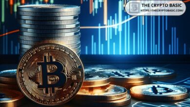 بيتكوين تواجه اختبار دعم حاسم مع تلميحات تقنية لانخفاض أكبر، سعر مستهدف $51,348