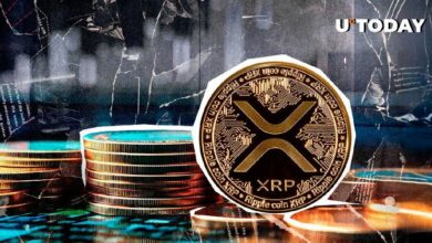 سحب 30 مليون XRP يصدم أكبر بورصة عملات رقمية – اكتشف التفاصيل!