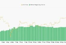 الرهانات الطويلة على البيتكوين في Bitfinex تتحدى الموسم الهبوطي - اكتشف الآن!