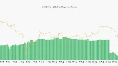 الرهانات الطويلة على البيتكوين في Bitfinex تتحدى الموسم الهبوطي - اكتشف الآن!