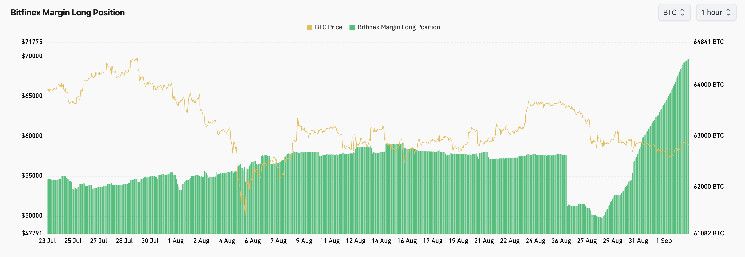 الرهانات الطويلة على البيتكوين في Bitfinex تتحدى الموسم الهبوطي - اكتشف الآن!