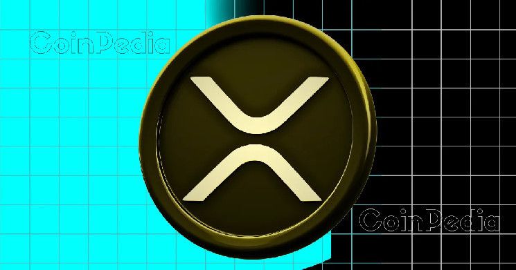 أخبار XRP: المستشار القانوني لريبل ينتقد الفيدرالي ويفضح من يغسل المليارات حقاً