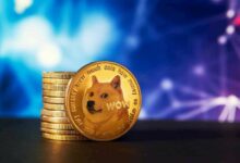 شراء 1.4 مليار دوجكوين من قبل الحيتان في 48 ساعة مع ارتفاع DOGE - اكتشف التفاصيل الآن!