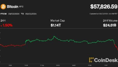 انهيار العملات الرقمية يرسل البيتكوين إلى أقل من 58 ألف دولار والإيثيريوم إلى أدنى مستوى في 7 أشهر - تابع التفاصيل!