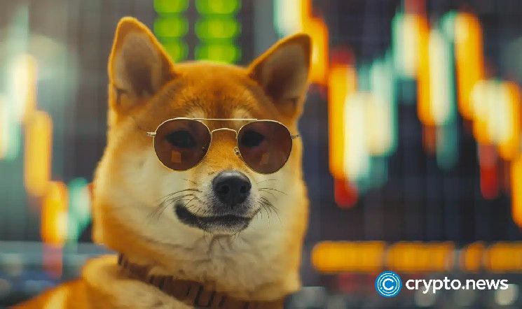 طفرة BABYDOGE بنسبة 120% خلال 10 أيام، هل هناك المزيد من المكاسب أم تصحيح قادم؟