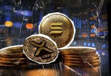 متى يصدر صندوق ETF لـ(سولانا) و(XRP)؟ خبير صندوق ETF لديه فكرة