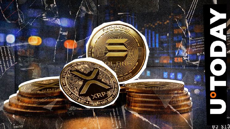 متى يصدر صندوق ETF لـ(سولانا) و(XRP)؟ خبير صندوق ETF لديه فكرة