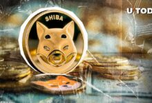 مطوّر Shiba Inu يرد على ارتفاع SHIB إلى $0.00002 - اقرأ التفاصيل الآن!