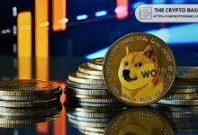 مؤسس Dogecoin يدعو رئيس SEC لتأكيد أن Dogecoin ليست أوراق مالية