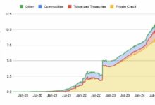 قيمة الأصول الواقعية المرمزة (باستثناء العملات المستقرة) تتجاوز 12 مليار دولار: بحث باينانس