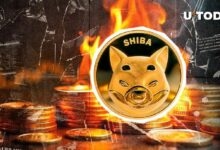 معدل حرق شيبا إينو (SHIB) يرتفع بنسبة 647% مع ارتفاع السعر بنسبة 13% - اكتشف التفاصيل الآن!