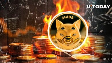 معدل حرق شيبا إينو (SHIB) يرتفع بنسبة 647% مع ارتفاع السعر بنسبة 13% - اكتشف التفاصيل الآن!