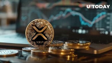 ما زال XRP متفائلاً، اكتشف 3 أسباب مهمة