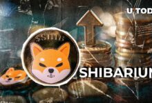 منظومة Shiba Inu (SHIB) تتفاجأ بارتفاع رسوم Shibarium خلال 24 ساعة بنسبة 2,190%