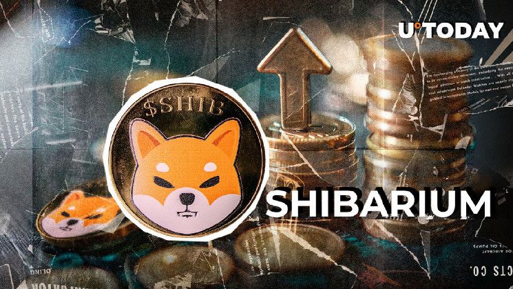 منظومة Shiba Inu (SHIB) تتفاجأ بارتفاع رسوم Shibarium خلال 24 ساعة بنسبة 2,190%