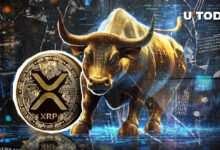 مصير XRP في "أكتوبر المزدهر" قد يذهل مضاربي سوق التشفير