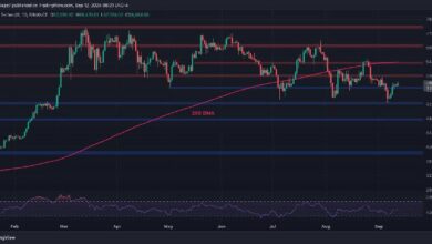 تحليل سعر البيتكوين: هل يصل BTC إلى 60 ألف و64 ألف دولار إذا حافظ على هذا المستوى؟