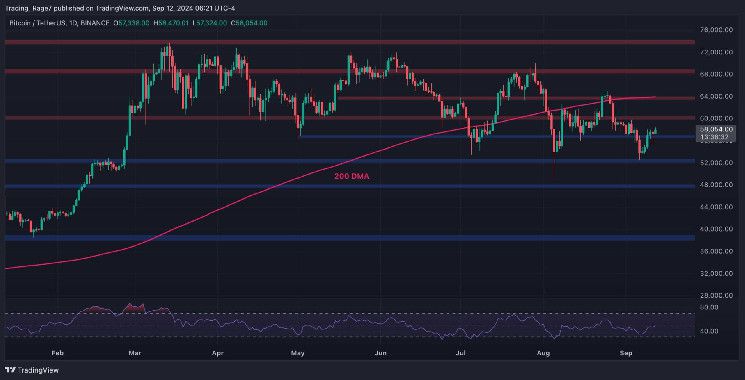 تحليل سعر البيتكوين: هل يصل BTC إلى 60 ألف و64 ألف دولار إذا حافظ على هذا المستوى؟