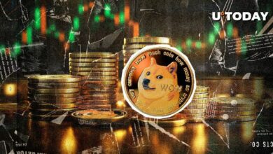 دوجكوين (DOGE) إلى القمر؟ العملة الميمية الكبرى على وشك صعود صاروخي! اكتشف المزيد الآن